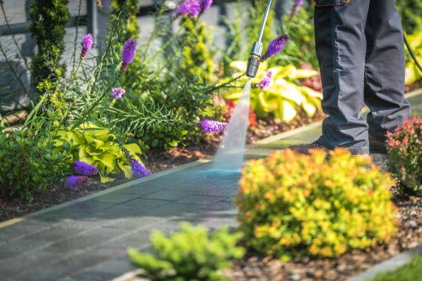 Best Warehouse Cleaning  in Houserville, PA